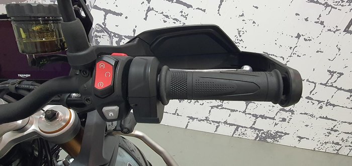 2025 Triumph Tiger 900 Desert Edition Tiger Grey