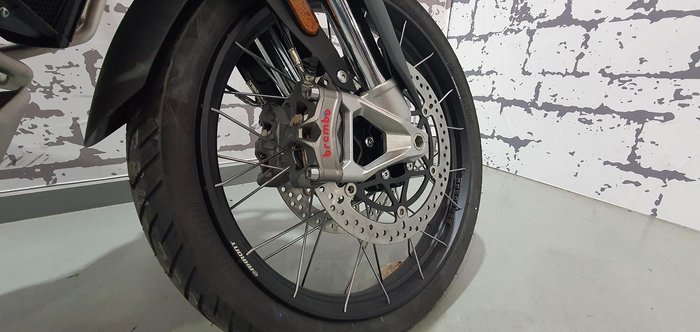 2025 Triumph Tiger 900 Desert Edition Tiger Grey