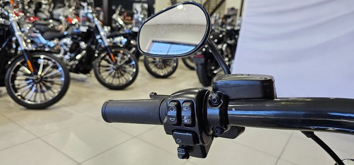 2016 Harley-davidson FLSTFBS FAT BOY S