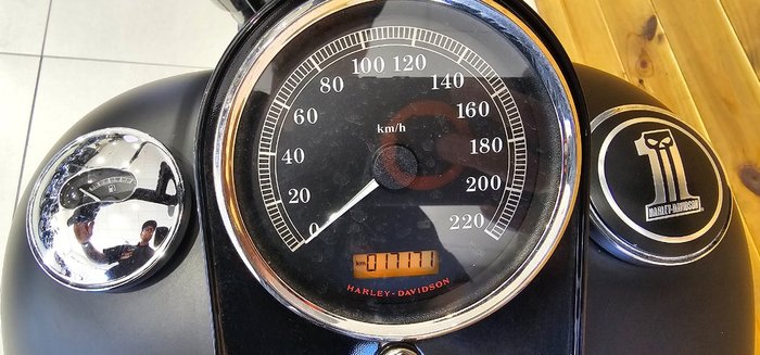 2016 Harley-davidson FLSTFBS FAT BOY S