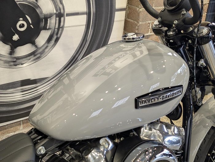 2025 Harley-Davidson Street Bob 117 (FXBB) Softail