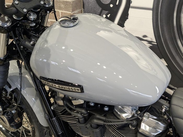 2025 Harley-Davidson Street Bob 117 (FXBB) Softail