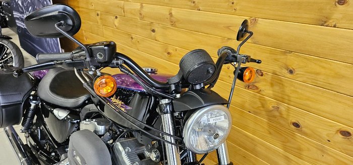 2010 Harley-davidson XL1200N SPORTSTER NIGHTSTER Purple