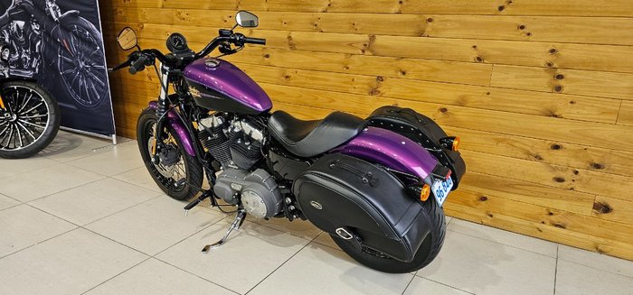 2010 Harley-davidson XL1200N SPORTSTER NIGHTSTER Purple