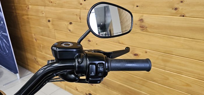 2010 Harley-davidson XL1200N SPORTSTER NIGHTSTER Purple