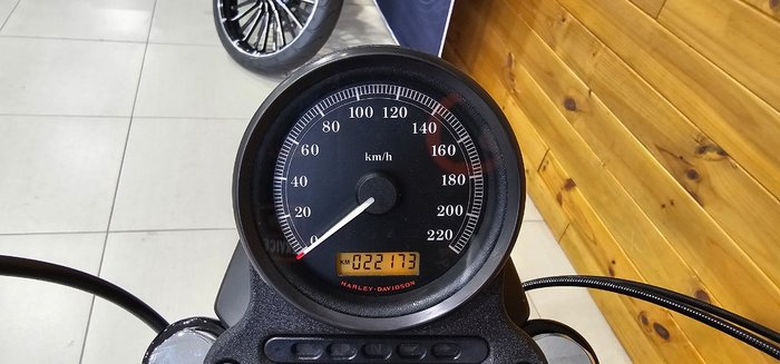 2010 Harley-davidson XL1200N SPORTSTER NIGHTSTER Purple