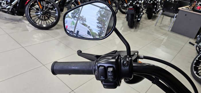 2010 Harley-davidson XL1200N SPORTSTER NIGHTSTER Purple