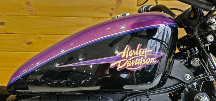 2010 Harley-davidson XL1200N SPORTSTER NIGHTSTER Purple