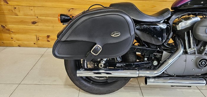 2010 Harley-davidson XL1200N SPORTSTER NIGHTSTER Purple