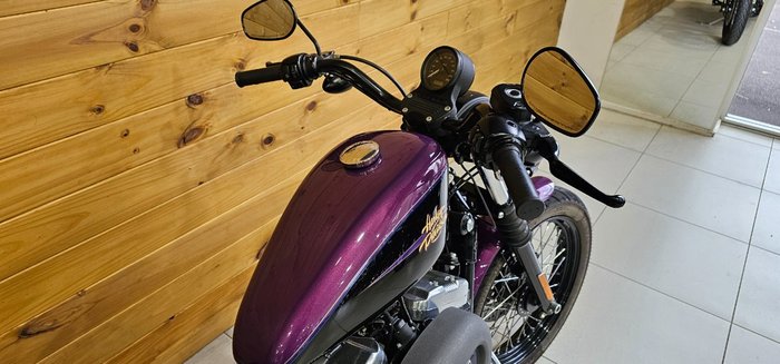 2010 Harley-davidson XL1200N SPORTSTER NIGHTSTER Purple