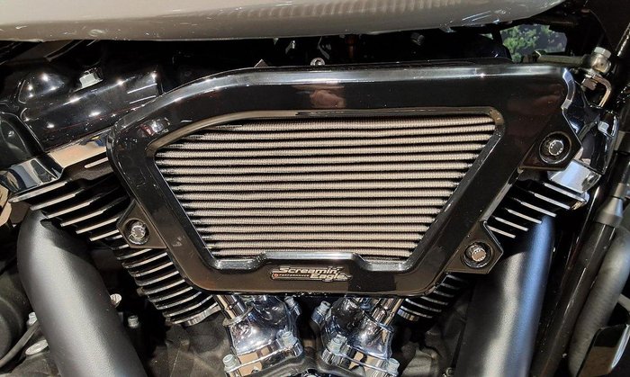 2025 Harley-Davidson Street Glide 117 (FLHX) Touring