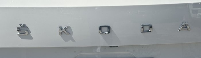 2021 SKODA Karoq 110TSI