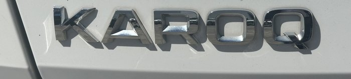 2021 SKODA Karoq 110TSI