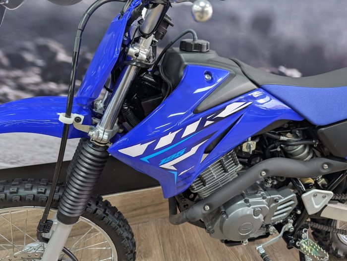 2025 Yamaha TTR125LWE BLUE