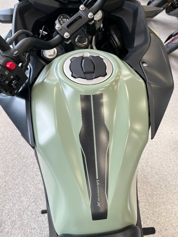2022 Kawasaki VERSYS-X 300 SE GREEN