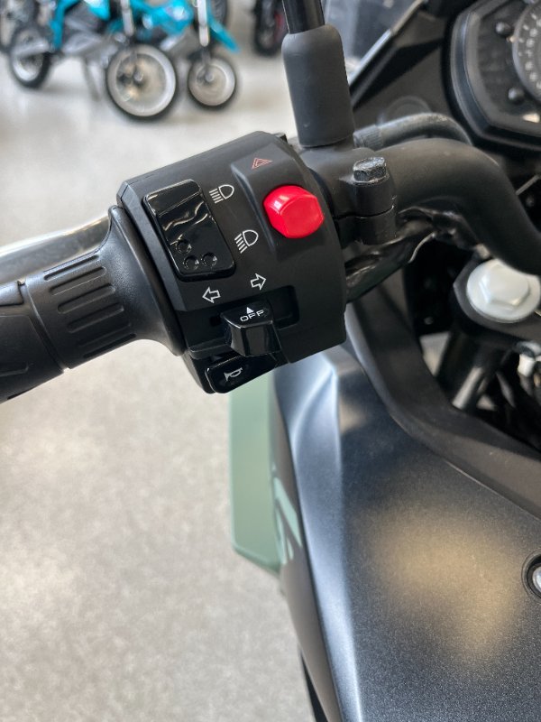 2022 Kawasaki VERSYS-X 300 SE GREEN