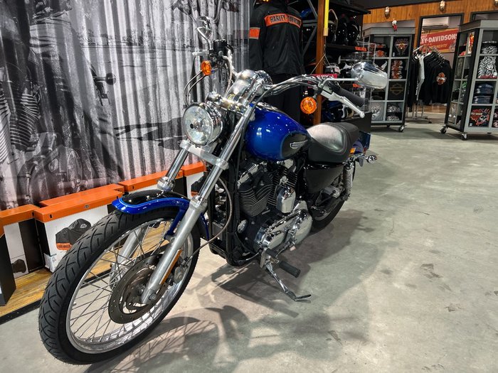 2008 Harley-davidson XL1200C SPORTSTER CUSTOM Blue/Black