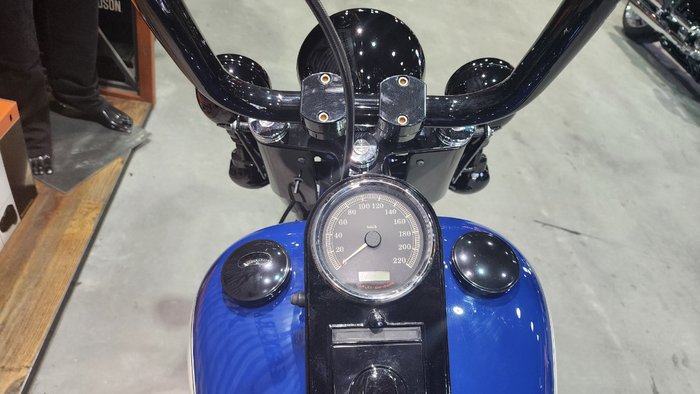 2008 Harley-davidson FLSTC HERITAGE SOFTAIL CLASSIC Blue