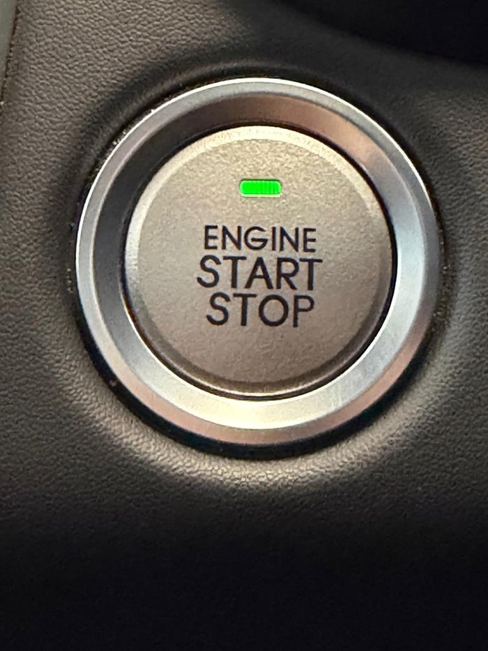 2024 GWM Ute Cannon-L