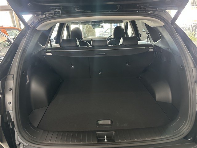 2025 HYUNDAI NX4 TUCSON