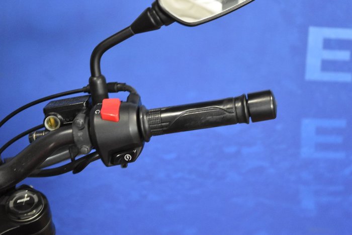 2019 Honda CB300R ABS (CBF300NA)