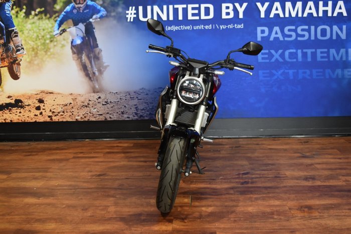 2019 Honda CB300R ABS (CBF300NA)