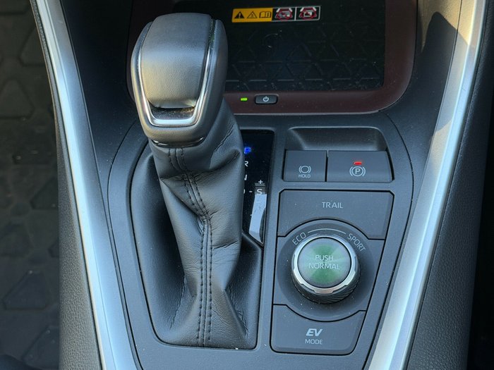 2024 Toyota RAV4 Cruiser