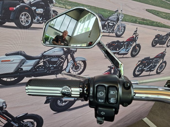 2020 HARLEY-DAVIDSON FLFBS FAT BOY (114)