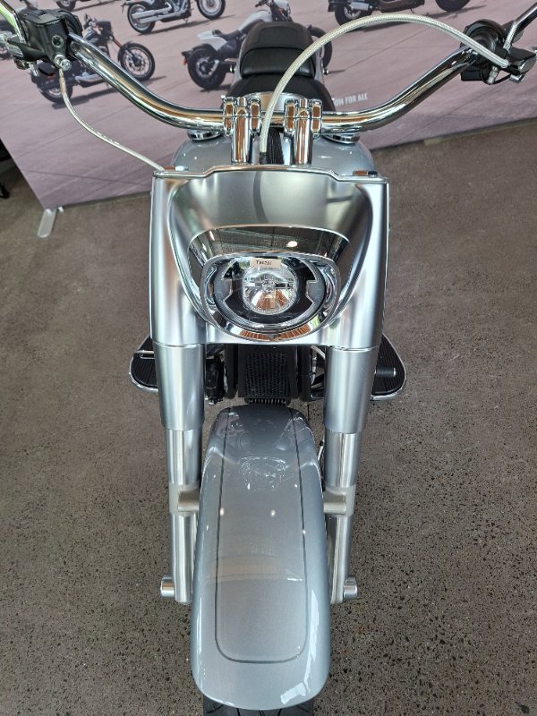 2020 Harley-davidson FLFBS FAT BOY (114) Barracuda Silver Denim/Black D