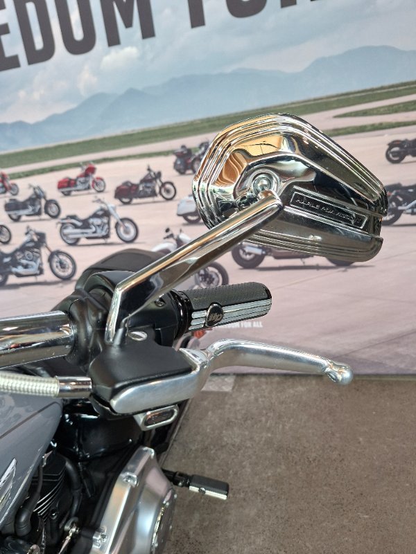 2020 HARLEY-DAVIDSON FLFBS FAT BOY (114)