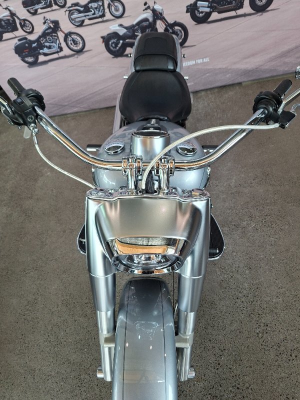 2020 Harley-davidson FLFBS FAT BOY (114) Barracuda Silver Denim/Black D