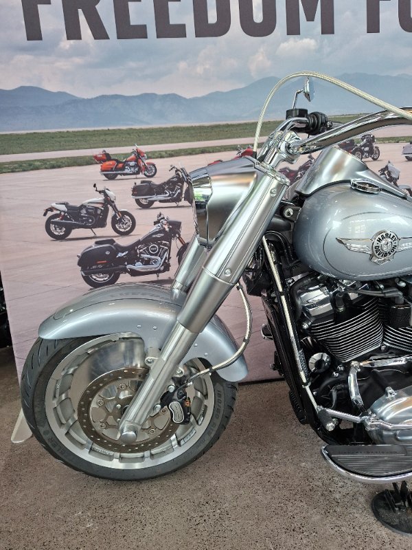 2020 HARLEY-DAVIDSON FLFBS FAT BOY (114)