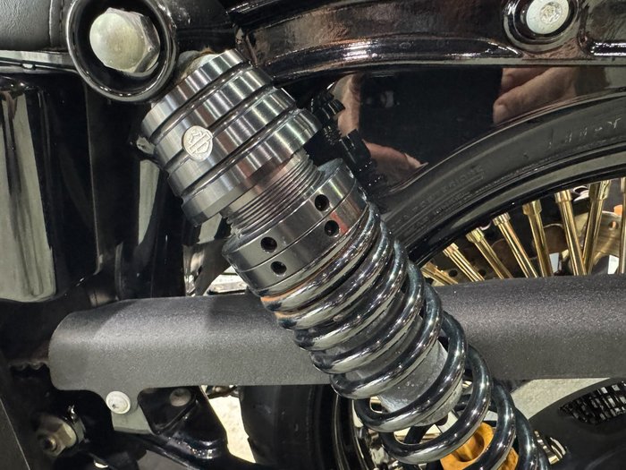 2016 Harley-davidson FXDLS LOW RIDER S Black