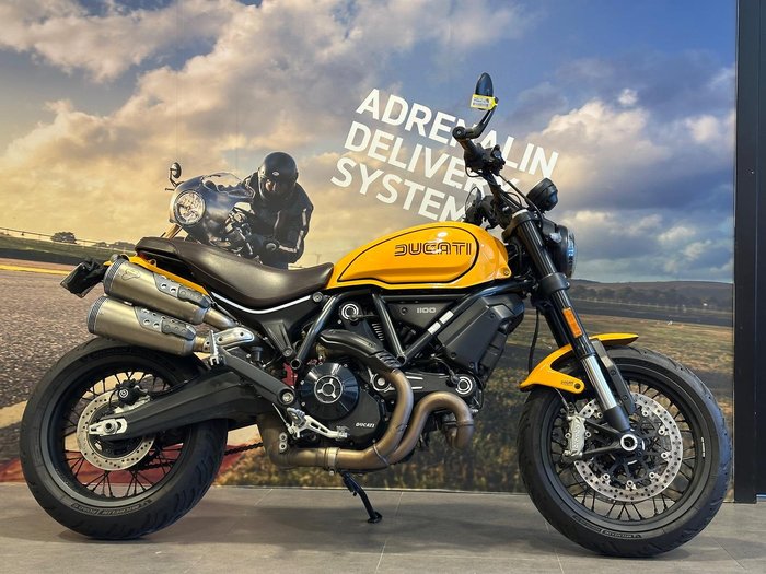 2022 Ducati Scrambler 1100 Tribute Pro Scrambler Yellow