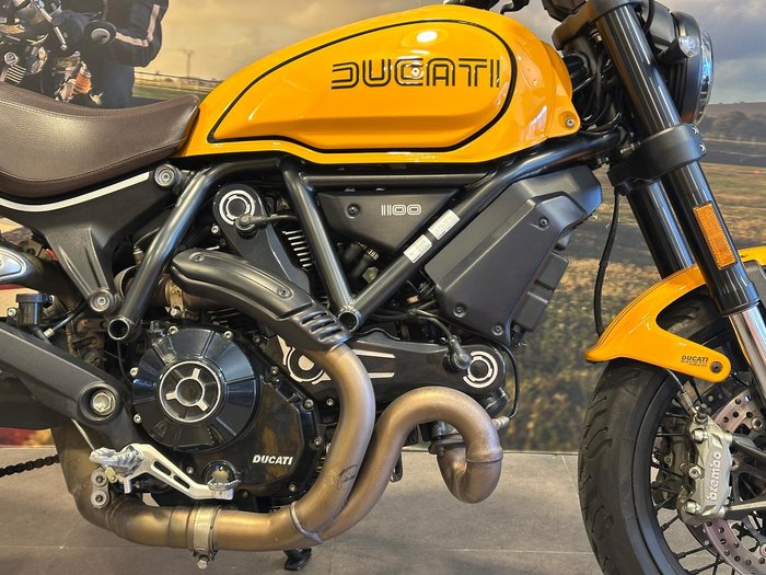 2022 Ducati Scrambler 1100 Tribute Pro Scrambler Yellow