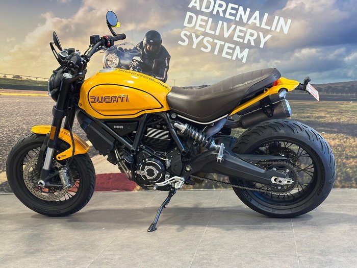 2022 Ducati Scrambler 1100 Tribute Pro Scrambler Yellow