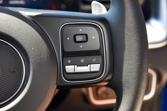 2025 GWM Cannon Vanta