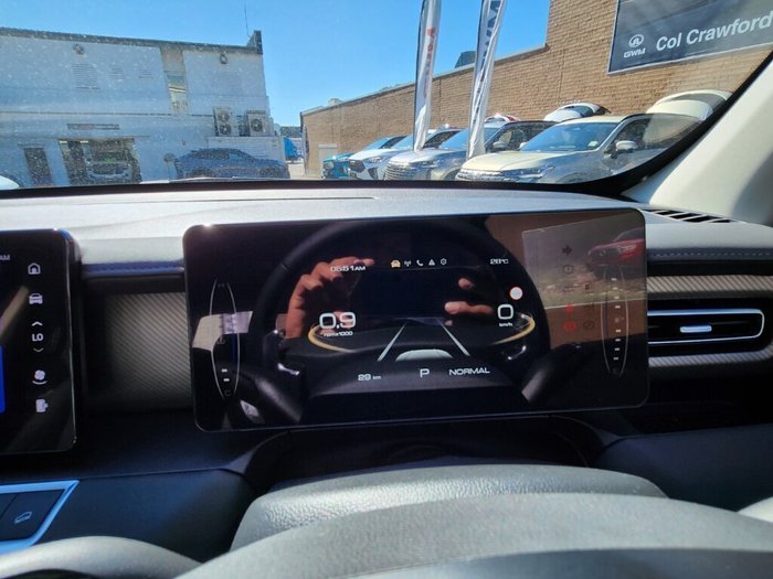 2025 GWM Cannon Premium