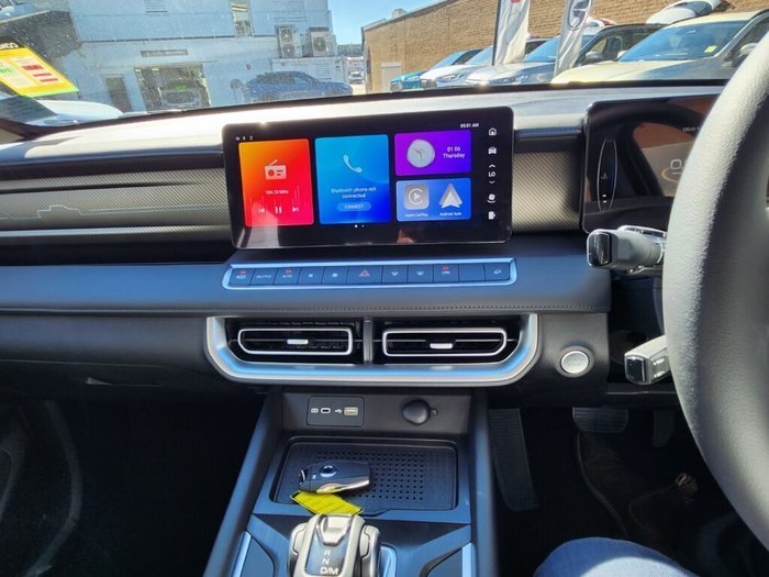 2025 GWM Cannon Premium