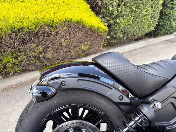 2023 Indian SCOUT ROGUE Grey