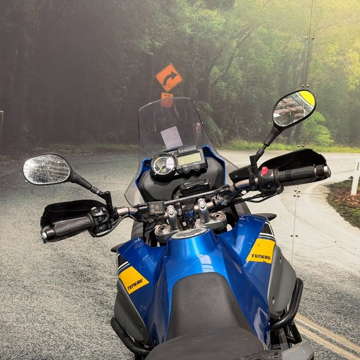 2010 Yamaha XT660Z TENERE Blue