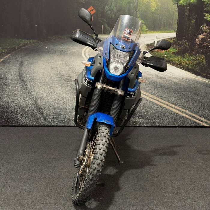 2010 Yamaha XT660Z TENERE Blue