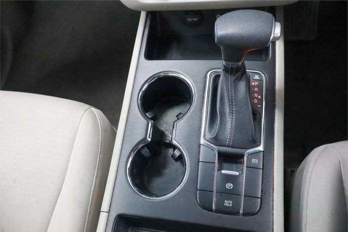 2019 Kia Carnival S YP MY20 Panthera Metal