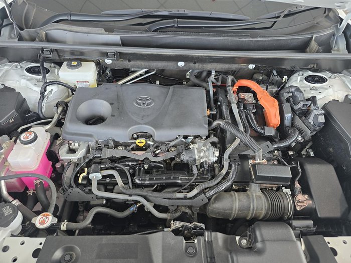 2023 Toyota RAV4 Cruiser