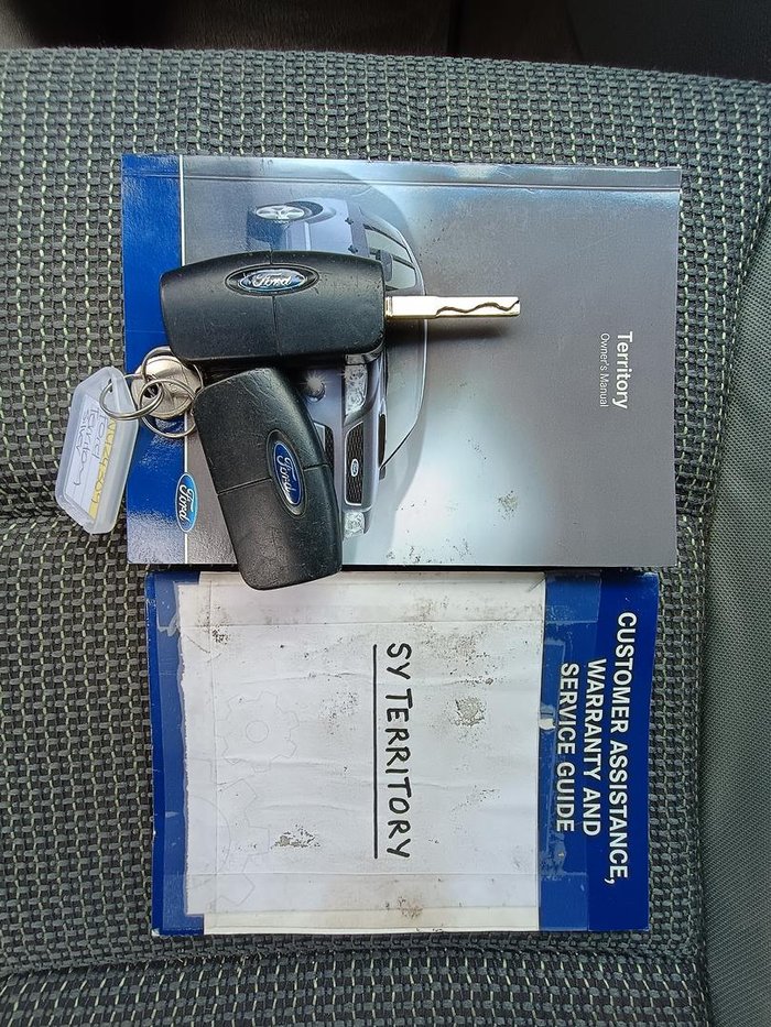 2008 Ford Territory TX SY Lightning Strike