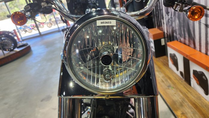 2017 HARLEY-DAVIDSON FLSTF FAT BOY