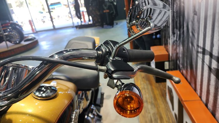 2017 HARLEY-DAVIDSON FLSTF FAT BOY