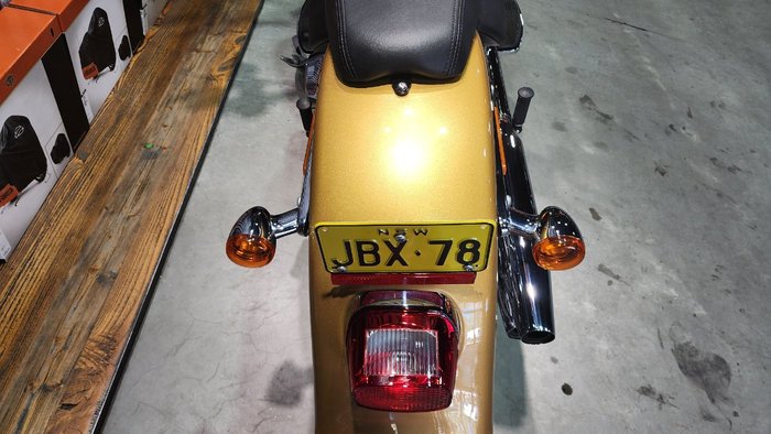 2017 HARLEY-DAVIDSON FLSTF FAT BOY