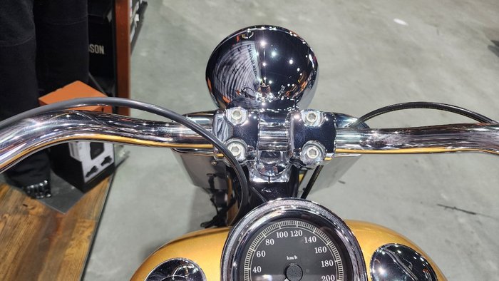 2017 HARLEY-DAVIDSON FLSTF FAT BOY