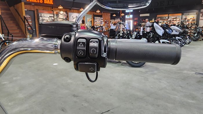 2017 HARLEY-DAVIDSON FLSTF FAT BOY